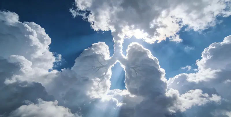 漯河肺癌靶向120基因检测（组织）图片1