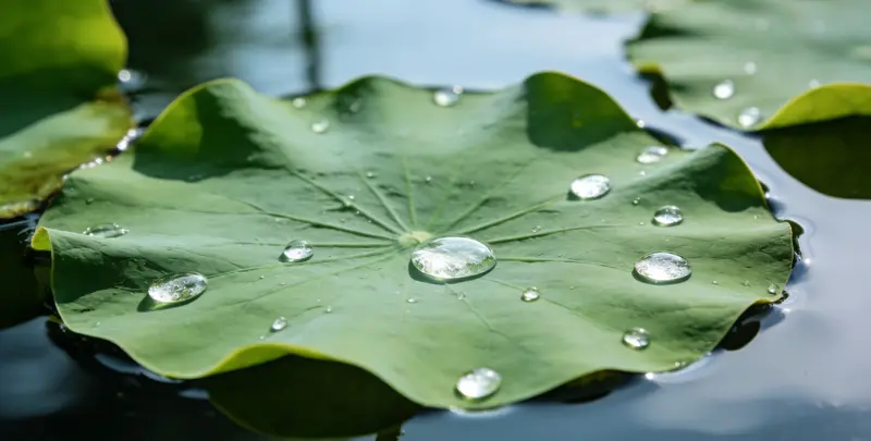 漯河乳腺癌21基因mRNA表达分析图片1