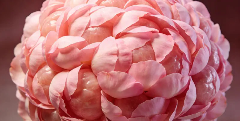 漯河BRCA1/2乳腺癌卵巢癌基因检测图片1